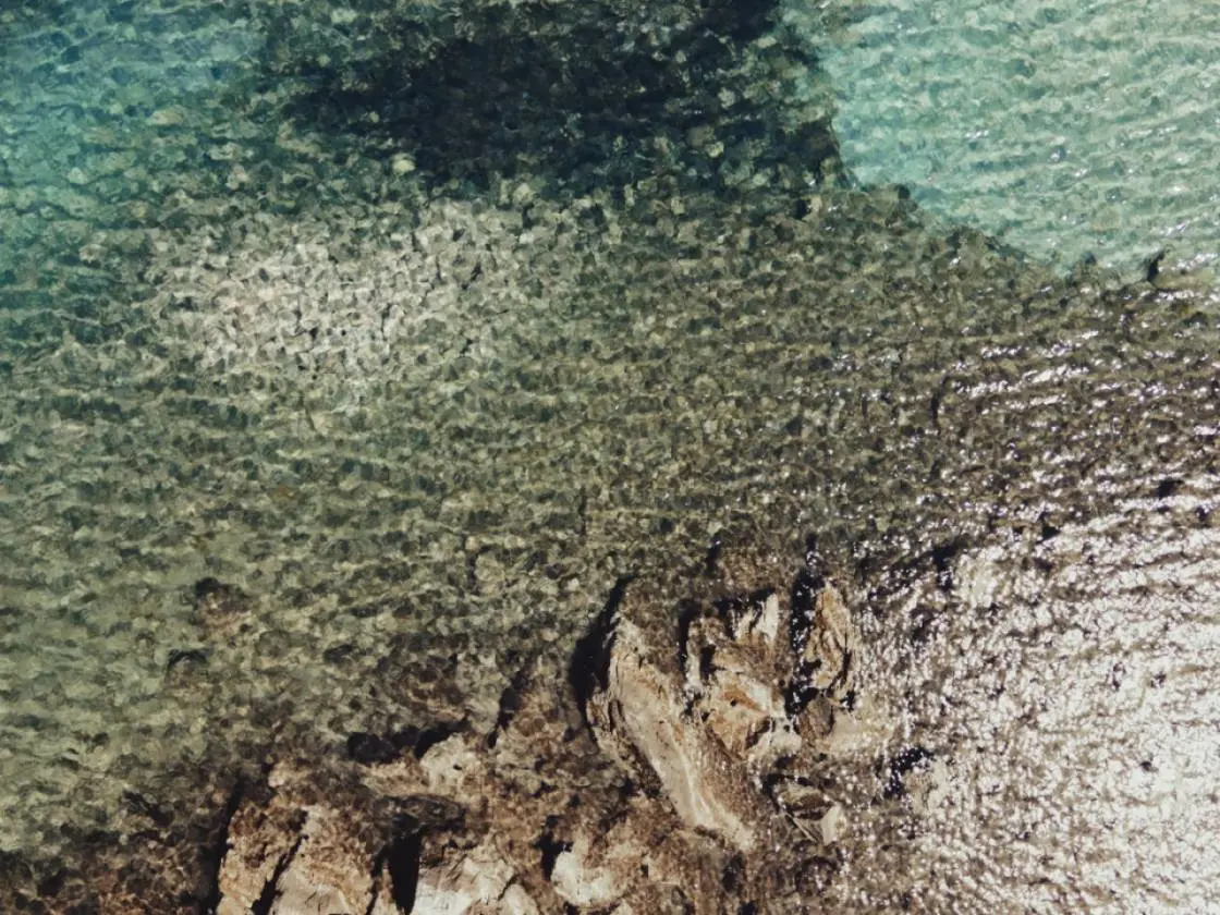 viber_image_2025-09-09_22-35-13-902